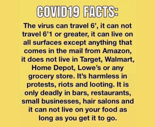coronavirus1291