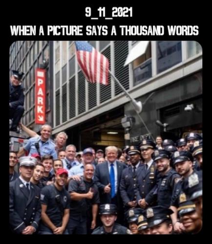 when a picture says a thousand words