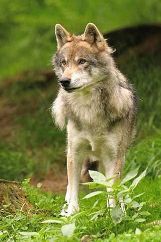 17:02:40 GMT-0500 (CDT)