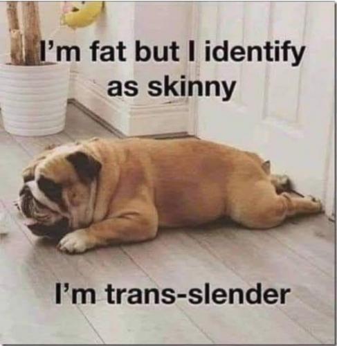 trans slender