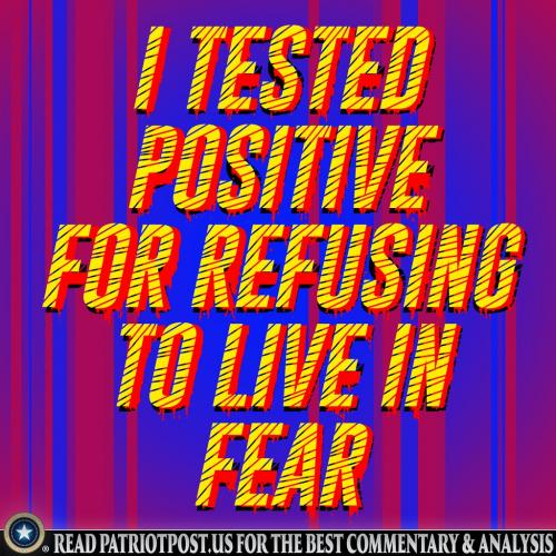 240956627_5073545562698166_6699167061637702545_n