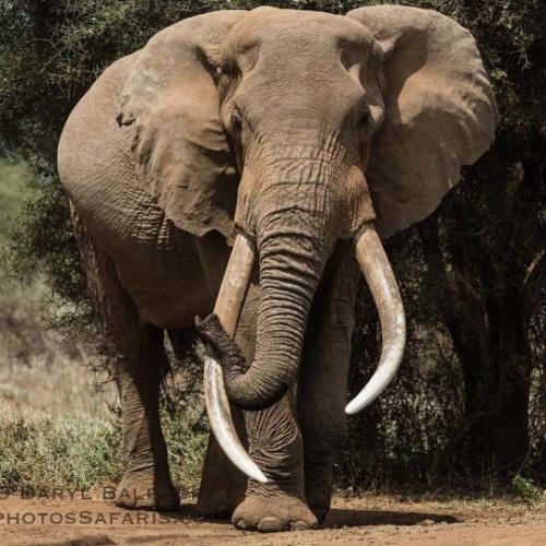 tumblr_215024d9e9b1177a6a2a886fc3b62b64_2fa09578_540