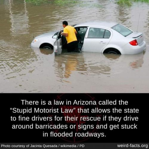 10:06:38 GMT-0400 (EDT)