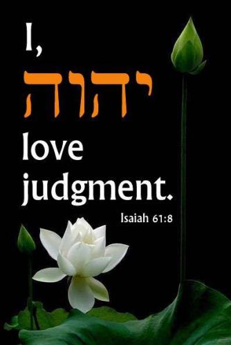 11329966_704277873031502_8153976516462391693_n