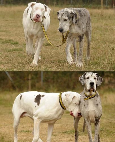 239425391_4668506829828672_1007494158671970833_n