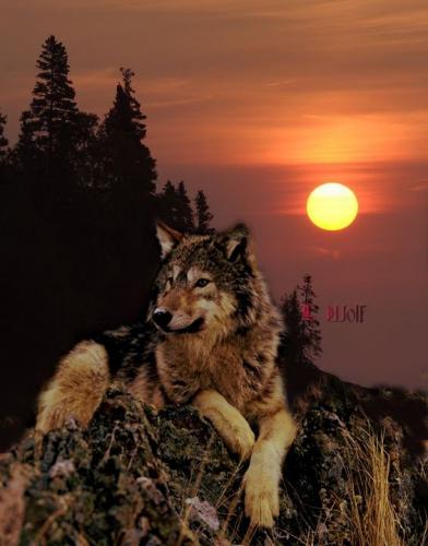 06:30:12 GMT-0500 (CDT)