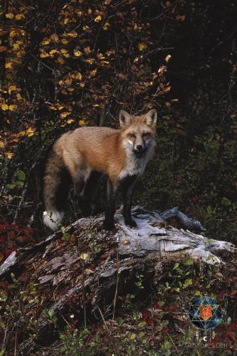 19:16:39 GMT-0500 (CDT)