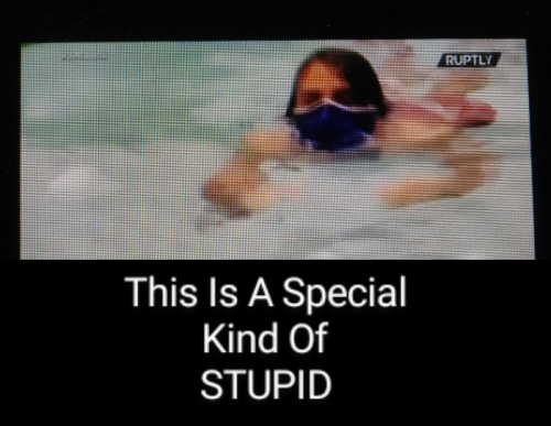 SPECIAL KIND OF STUPID