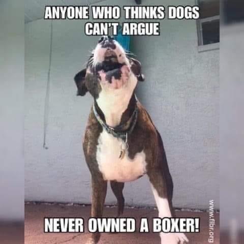 19:27:25 GMT-0500 (CDT).image