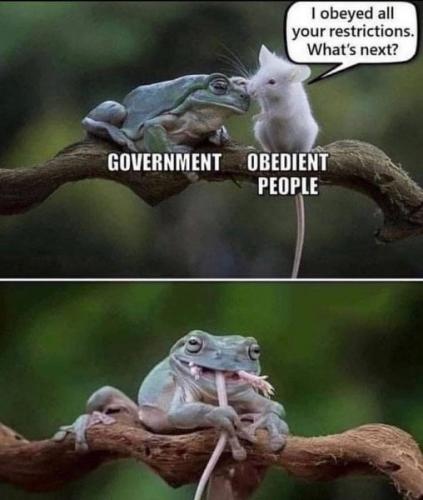 239953700_4601403516564515_2537354718104886432_n