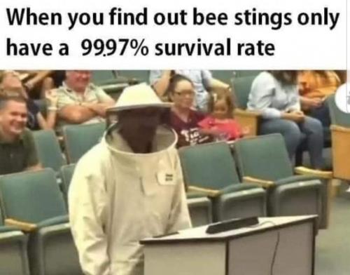 FB_IMG_1631490249684