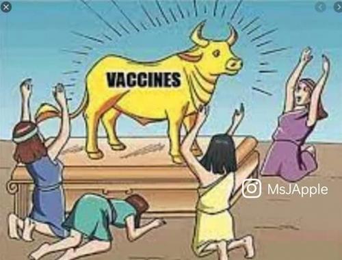 FB_IMG_1631406287522