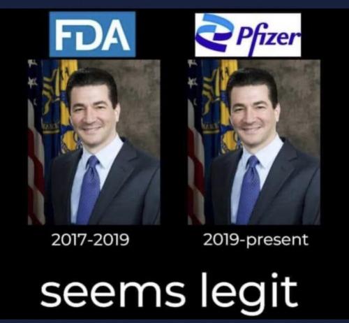 pfizer fda