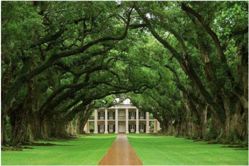 05:39:04 GMT-0500 (CDT).image