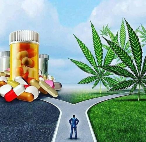 53811028_1962136737243018_4190249851520286720_n