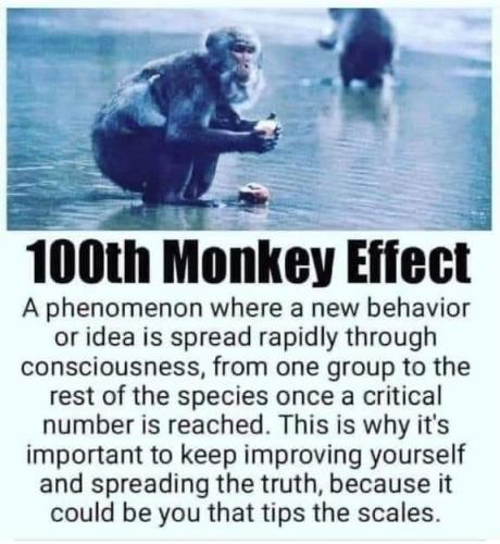 15:47:29 GMT-0500 (CDT)