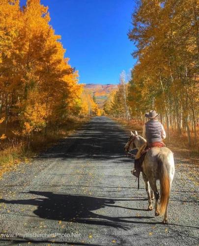 241815937_1406654859720144_601235942508270470_n