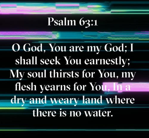 Screenshot_20210928-071941_Bible