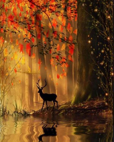 243095945_1226124177861397_2459275183839782249_n