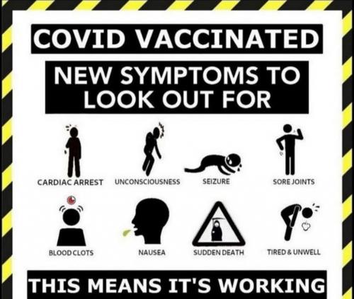 98251B17-4790-4D7C-980B-5091312D0704-3929-000037BB211DDCB7