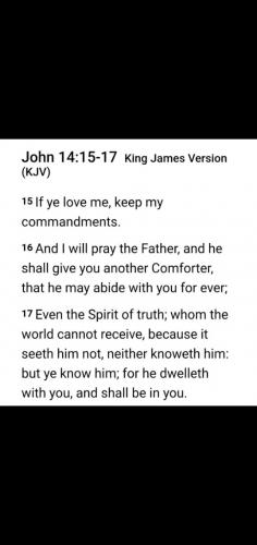 Screenshot_20210917-171741_Photos