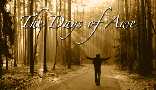 daysofawe2