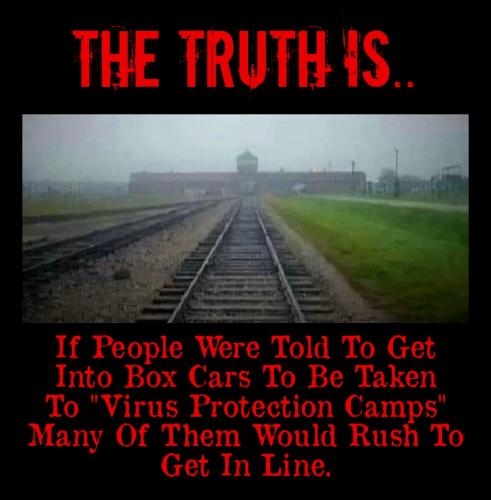 Political - Truth Is Virus Camps