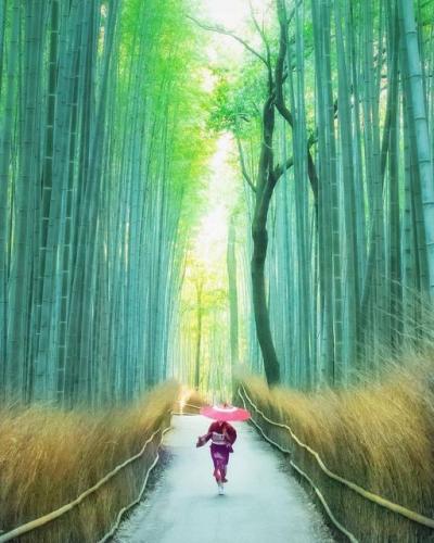 242214066_4556276867766134_2255947241131825281_n