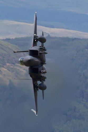 242120702_4383892415030278_865165918662244591_n