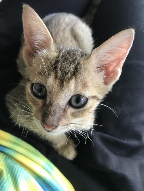 1B1CC534-7028-4CC2-B3AC-15072814FF3D