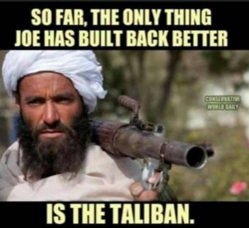 taliban c