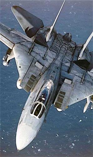 242687256_4448145738564335_8013116346945311598_n