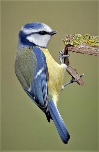 tumblr_e064fe2d52e7e2cbe3287ff8eac3670d_6f43b619_540