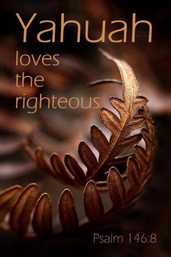 15192598_1026636017462351_3200748842233176385_n