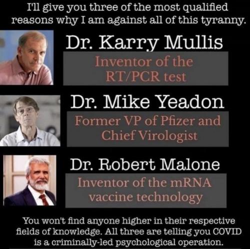 Plandemic is Genocide