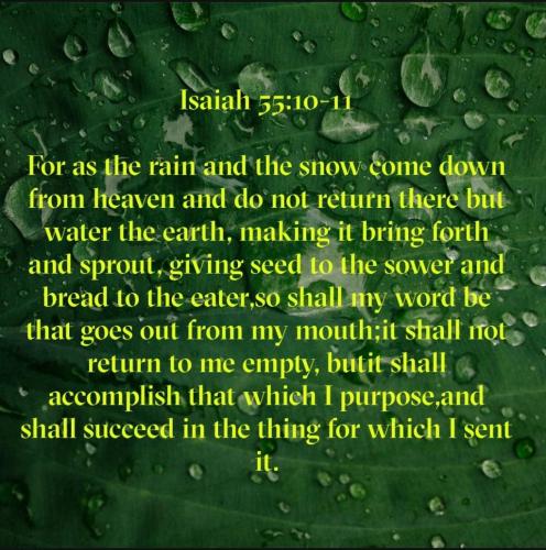 Screenshot_20210921-091103_Bible