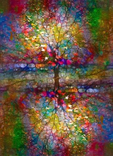 ,                                                                                                                                                                                                              0   a