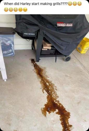 FB_IMG_1632453692189