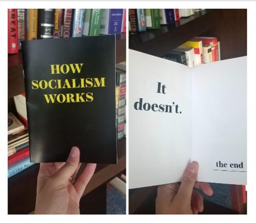 how socialism works