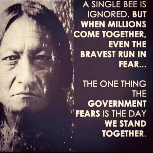 2021-09-18_20-44-08 One Bee