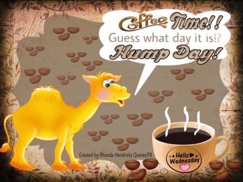 16114025_1298012540237274_7912124084443966703_n