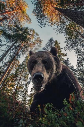 tumblr_03823c4b72abbff44d75224aec6fa00a_0c48af3a_540