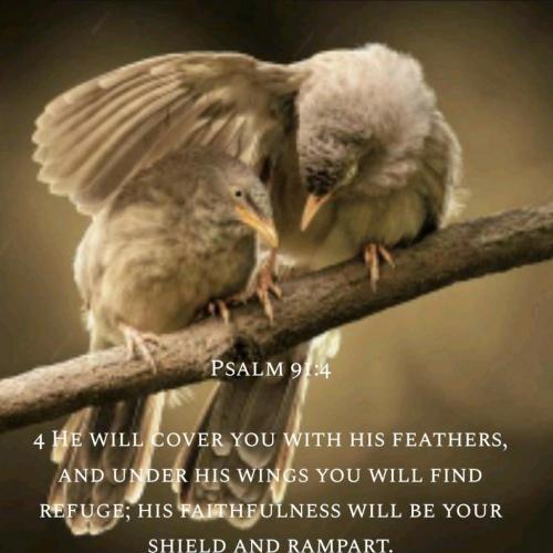 Screenshot_20210910-075714_Bible