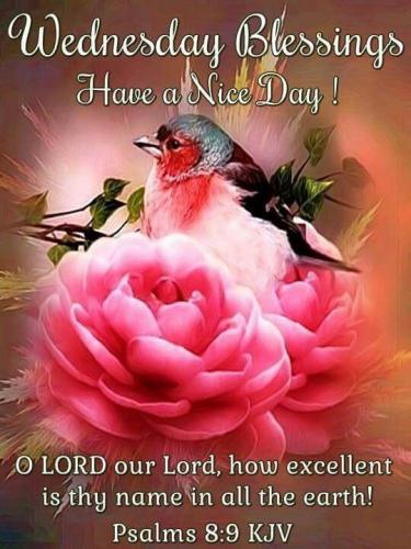 05:11:25 GMT-0700