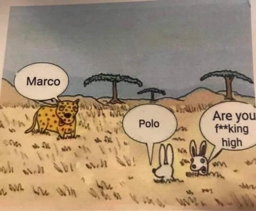 9906e451d4e71a8c62df44431bd01616_1024