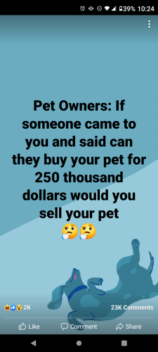 Screenshot_20210904-222455