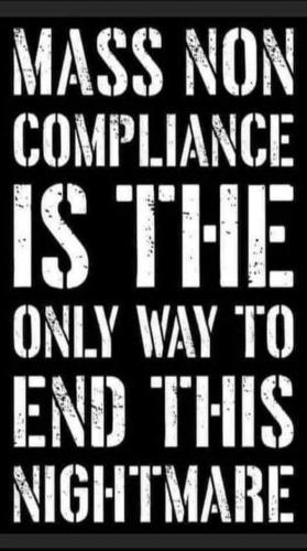 FB_IMG_1631097227851