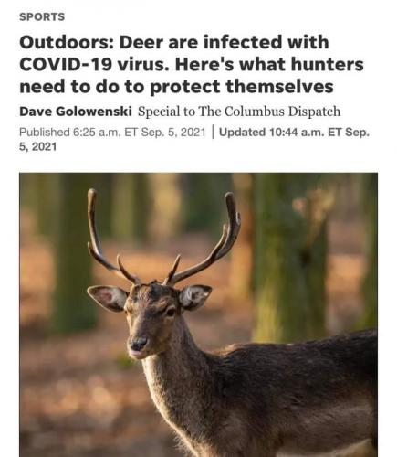 12:51:04 GMT-0400 (EDT)