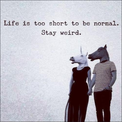 life is too short to be normal