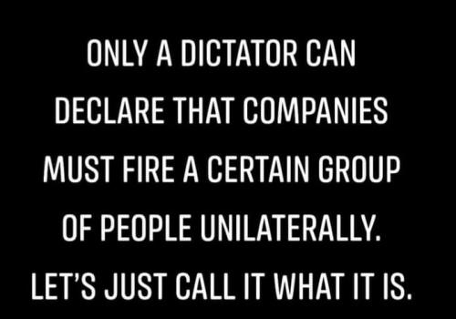 241677755_384968549703735_6868033982997744658_n